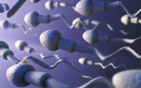 Sperm DNA hasarı olan erkeklerde tanı testleri ve tedavi başarısını arttırıcı yöntemleri