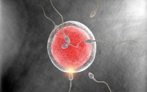 Sperm Hücresinde Akrozom Reaksiyon Problemleri