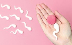 Tüp Bebek Tedavilerinde Sperm Seçiminde Yenilikler