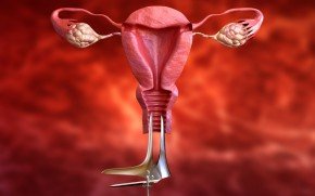 Yapay Rahim Endometrial Ko-Kültür